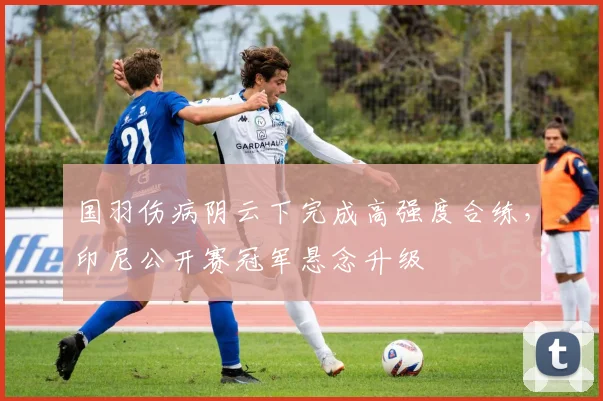国羽伤病阴云下完成高强度合练，印尼公开赛冠军悬念升级