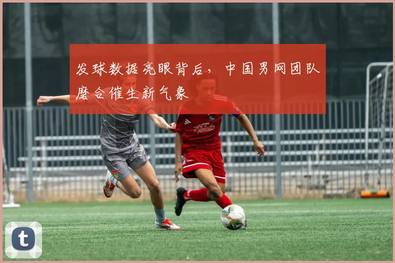 发球数据亮眼背后，中国男网团队磨合催生新气象